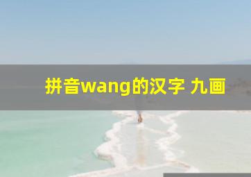 拼音wang的汉字 九画